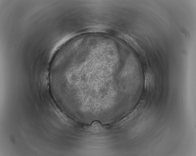 X0000113311164200910051057