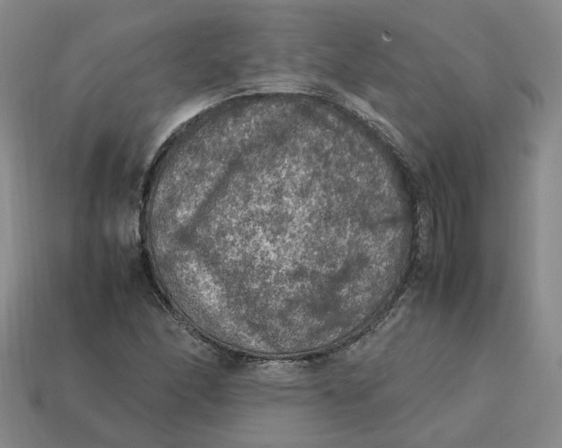 X0000113311166200910051057