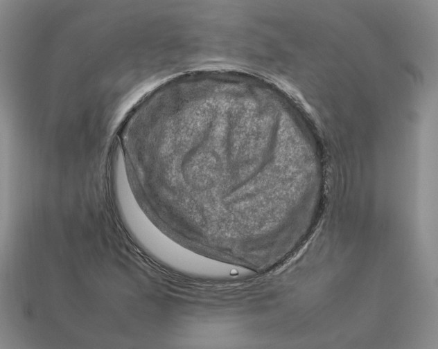 X0000113311167200910051057