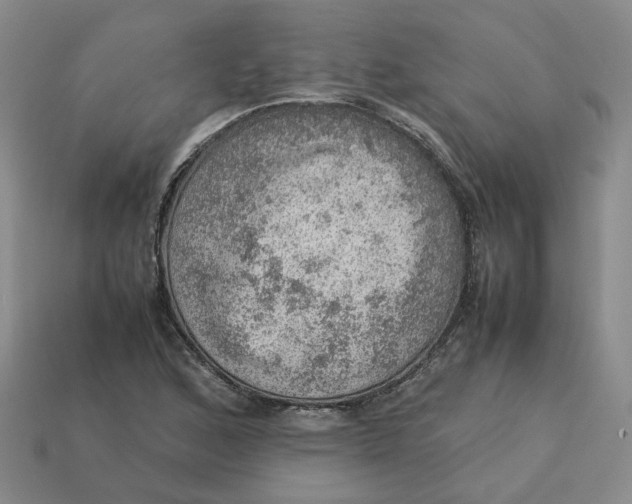 X0000113311168200910051057