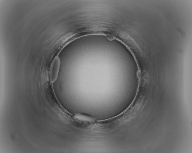 X0000113311169200910051057