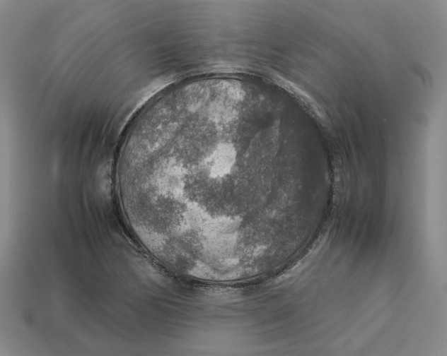 X0000113311170200910051057