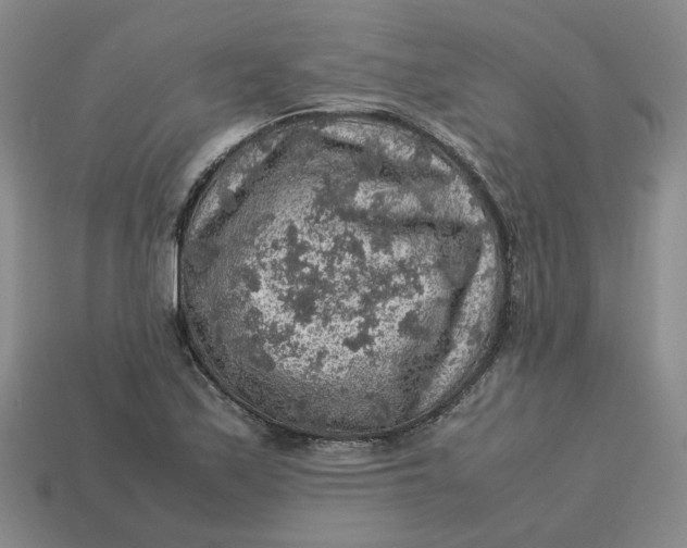 X0000113311171200910051057