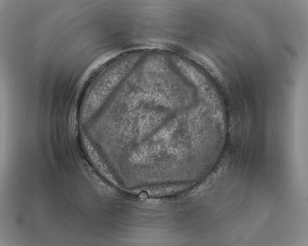 X0000113311172200910051057