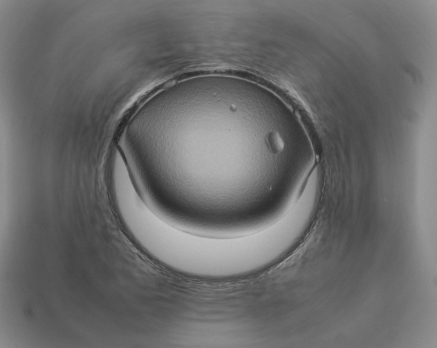 X0000113311173200910051057