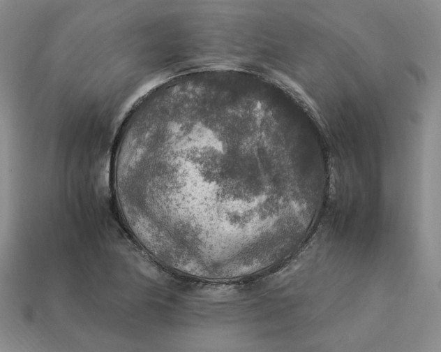 X0000113311174200910051057