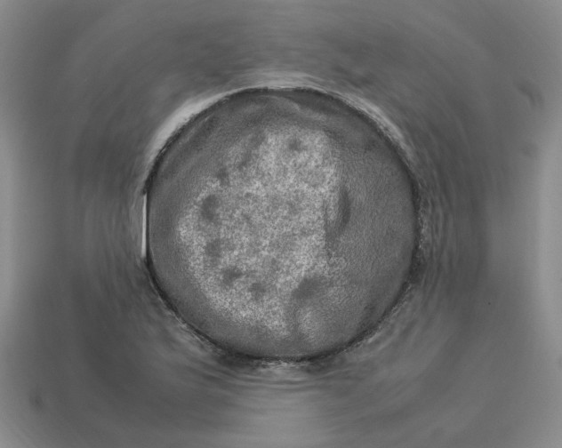 X0000113311175200910051057