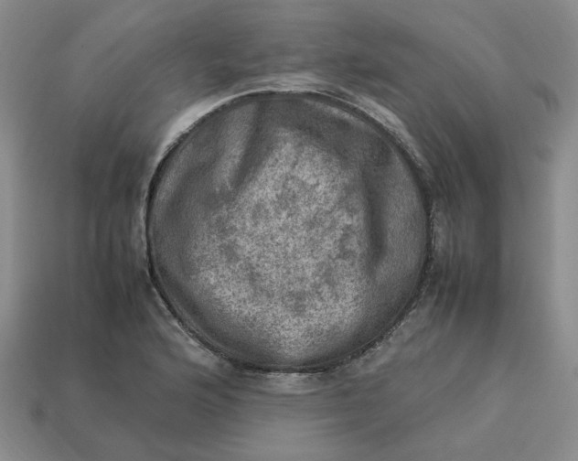 X0000113311176200910051057