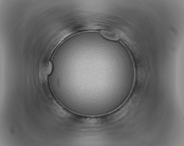 X0000113311177200910051057