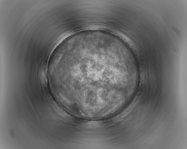 X0000113311178200910051057