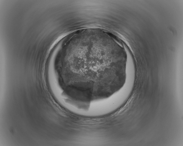 X0000113311179200910051057