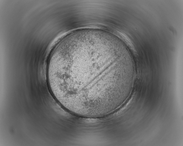 X0000113311180200910051057