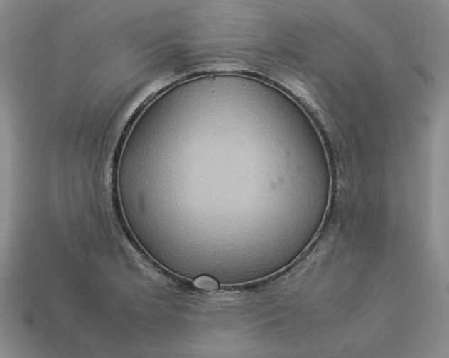 X0000113311181200910051057