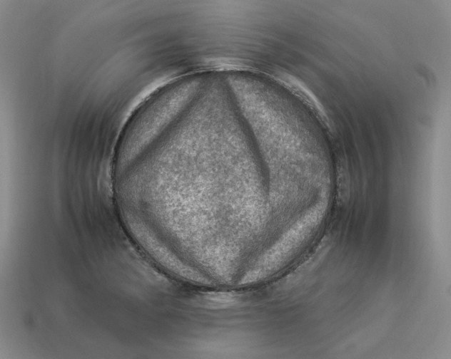 X0000113311182200910051057