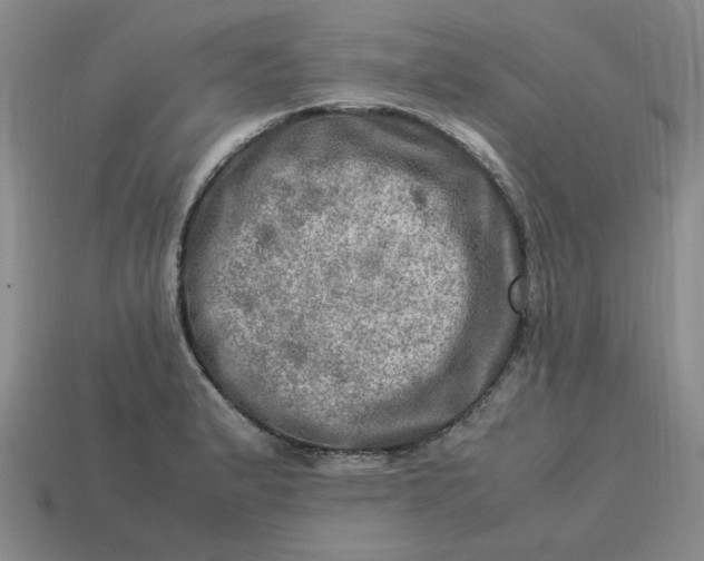 X0000113311183200910051057