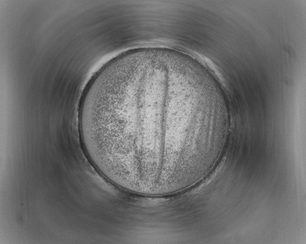 X0000113311184200910051057