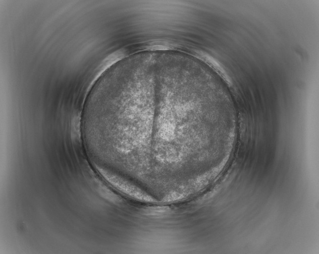 X0000113311186200910051057