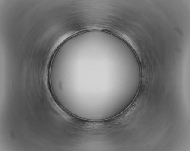 X0000113311187200910051057