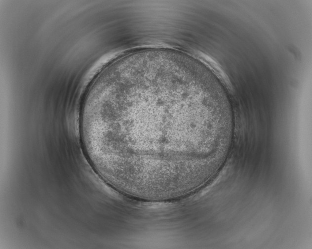 X0000113311188200910051057