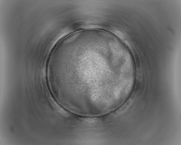 X0000113311189200910051057