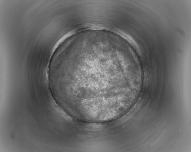 X0000113311190200910051057