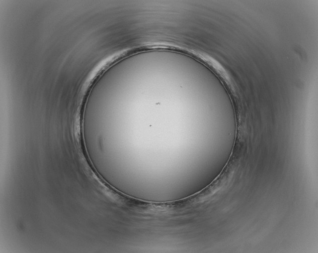 X0000113311191200910051057