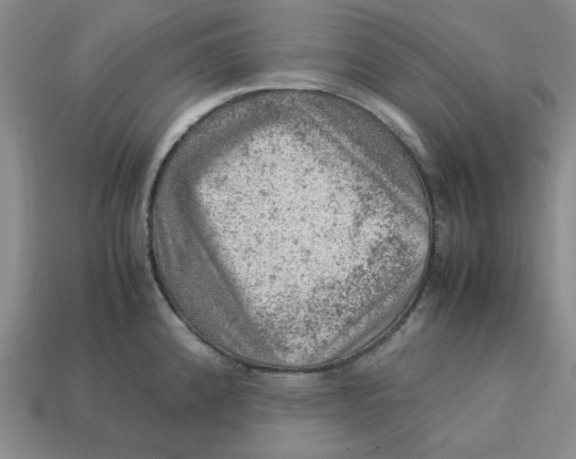 X0000113311192200910051057