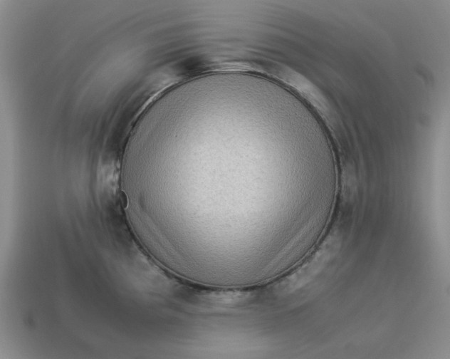 X0000113311193200910051057