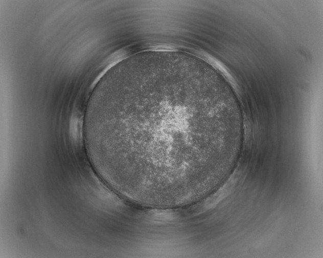 X0000113311194200910051057