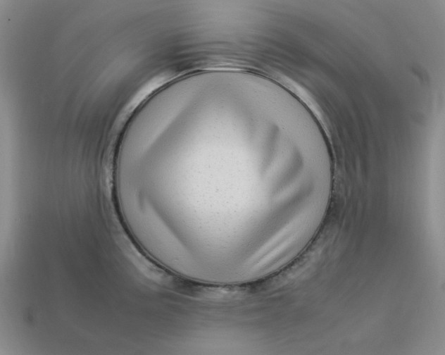 X0000113311195200910051057