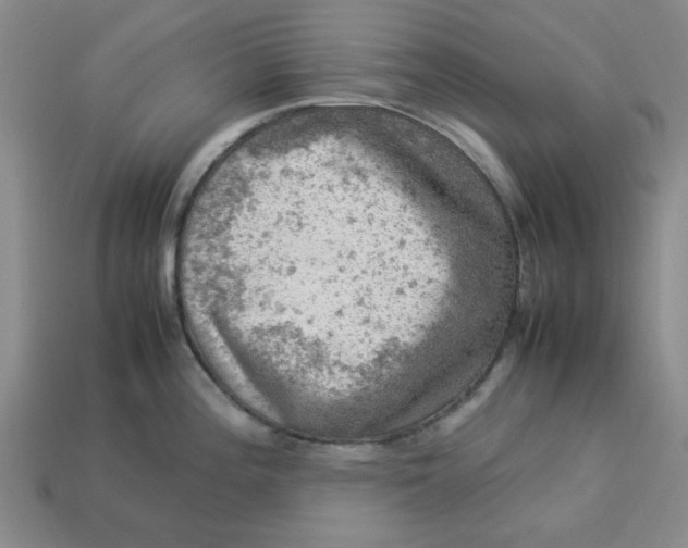 X0000113311196200910051057