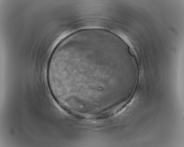 X0000113311197200910051057