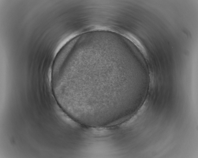 X0000113311198200910051057