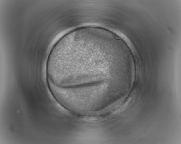 X0000113311199200910051057