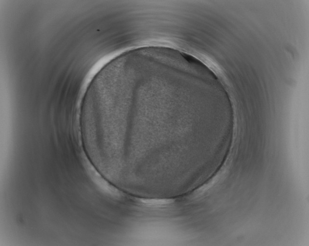 X0000113311200200910051057