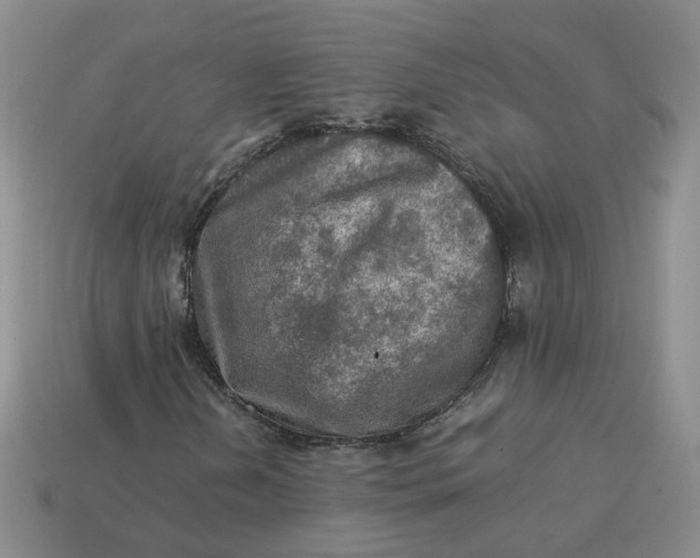 X0000113311202200910051056