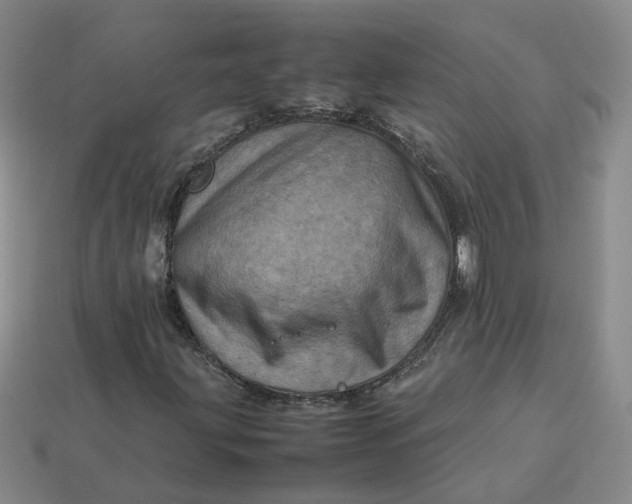 X0000113311203200910051056