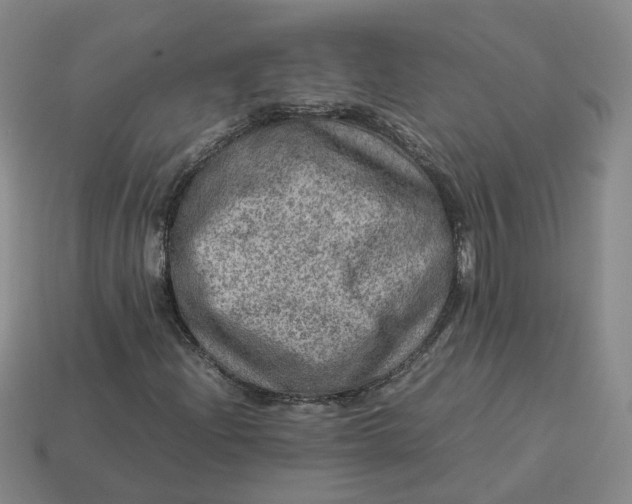 X0000113311204200910051056