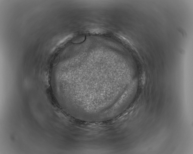 X0000113311205200910051056