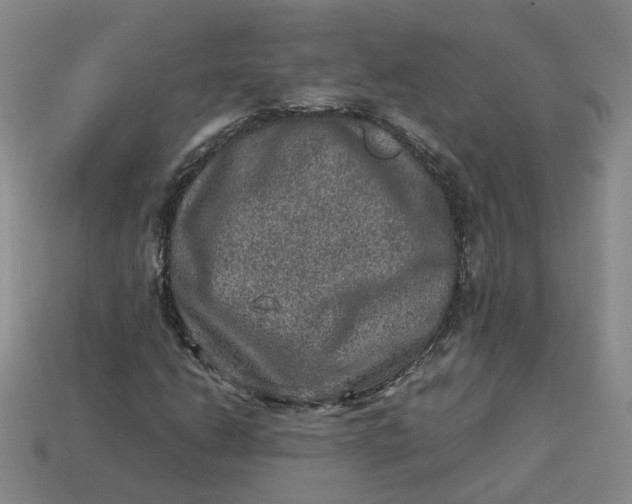 X0000113311206200910051056