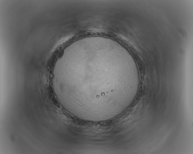 X0000113311207200910051056