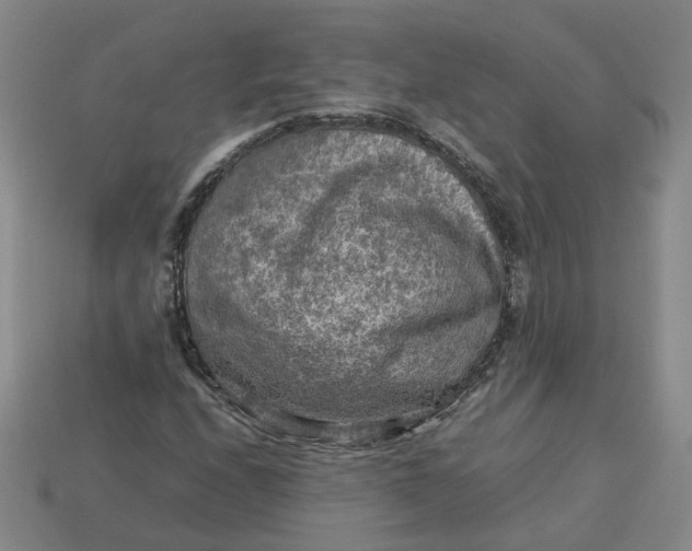 X0000113311208200910051056