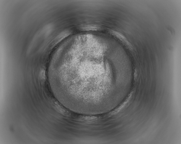 X0000113311209200910051056