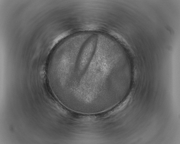 X0000113311210200910051056