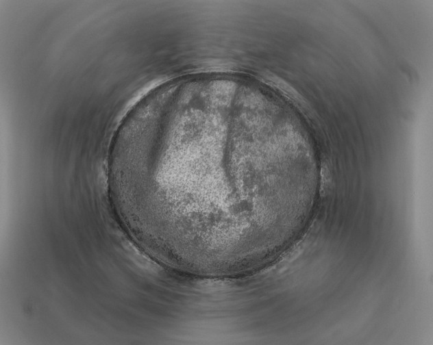 X0000113311212200910051056