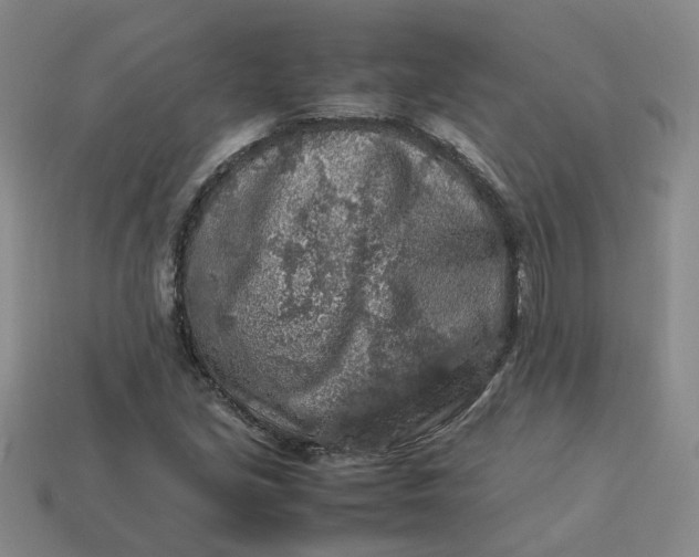 X0000113311213200910051056