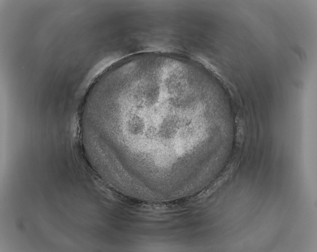 X0000113311215200910051056