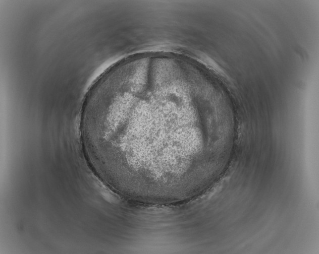 X0000113311216200910051056