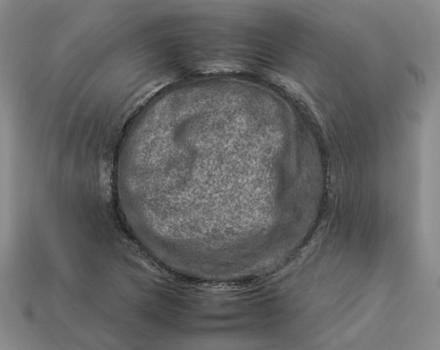 X0000113311217200910051056