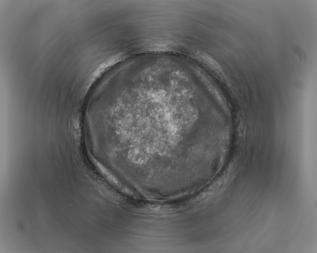 X0000113311218200910051056